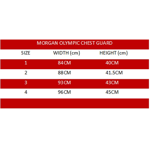 Morgan WTF Olympic Reversible Chest Guard Taekwondo Martial Arts - Image 10