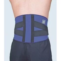 Madison Back Adjustable Support - Blue